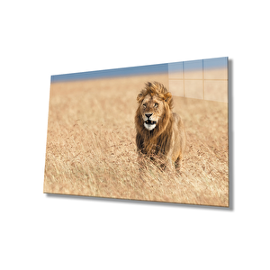 Aslan Cam Tablo 90x60 cm