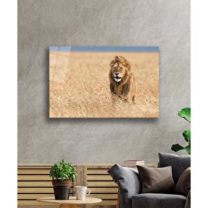 Aslan Cam Tablo 90x60 cm