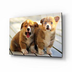 Köpekler Cam Tablo 36x23 cm