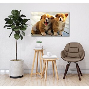 Köpekler Cam Tablo 36x23 cm
