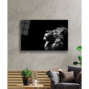 Aslan Cam Tablo 50x70 cm