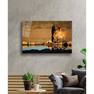 Aslan Cam Tablo 50x70 cm