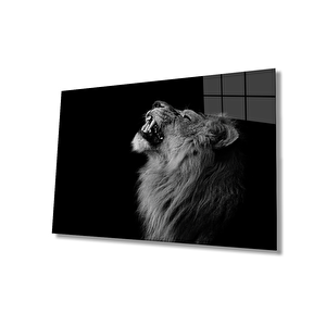 Aslan Cam Tablo 50x70 cm