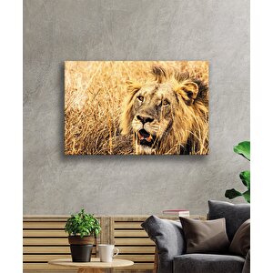 Aslan Cam Tablo 36x23 cm