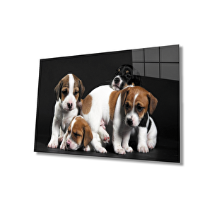 Köpekler Cam Tablo 50x70 cm