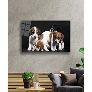 Köpekler Cam Tablo 50x70 cm