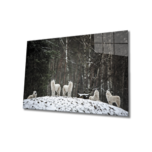 Beyaz Kurt Cam Tablo 36x23 cm