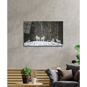 Beyaz Kurt Cam Tablo 36x23 cm