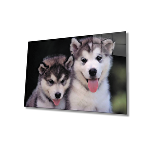 Köpekler Cam Tablo 36x23 cm