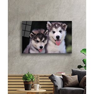 Köpekler Cam Tablo 36x23 cm