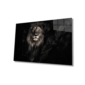 Aslan Cam Tablo 36x23 cm