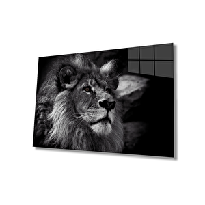 Aslan Cam Tablo 50x70 cm