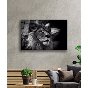 Aslan Cam Tablo 50x70 cm