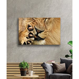 Aslan Cam Tablo 50x70 cm