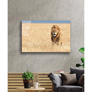 Aslan Cam Tablo 50x70 cm
