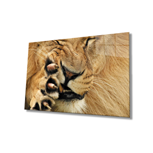 Aslan Cam Tablo 36x23 cm