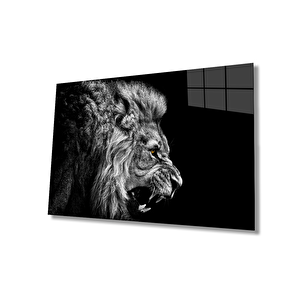 Aslan Cam Tablo 90x60 cm