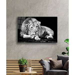 Aslan Cam Tablo 50x70 cm