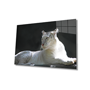 Aslan Cam Tablo 36x23 cm