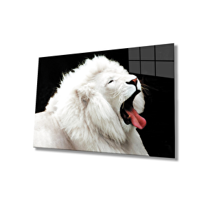 Aslan Cam Tablo 90x60 cm
