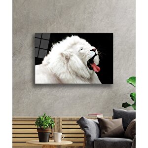 Aslan Cam Tablo 90x60 cm