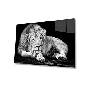 Aslan Cam Tablo 36x23 cm