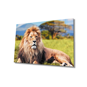Aslan Cam Tablo 36x23 cm