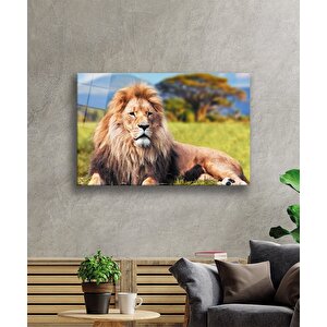 Aslan Cam Tablo 36x23 cm