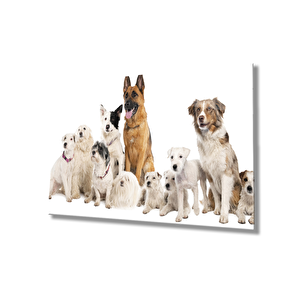Köpekler Cam Tablo 110x70 cm
