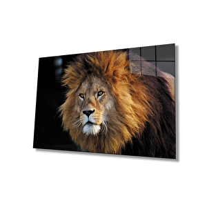 Aslan Cam Tablo 50x70 cm