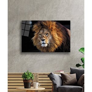 Aslan Cam Tablo 50x70 cm