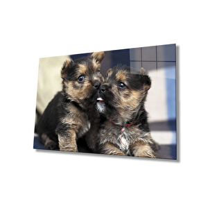 Köpekler Cam Tablo 36x23 cm