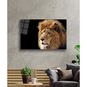 Aslan Cam Tablo 50x70 cm