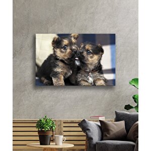 Köpekler Cam Tablo 50x70 cm