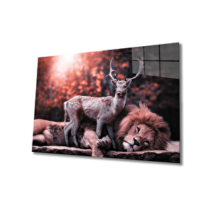 Aslan Cam Tablo 50x70 cm