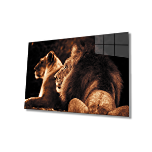 Aslan Cam Tablo 90x60 cm