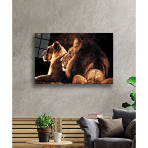 Aslan Cam Tablo 90x60 cm