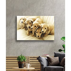 Köpekler Cam Tablo 36x23 cm