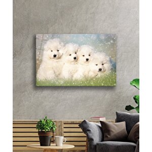 Beyaz Köpekler Cam Tablo 90x60 cm