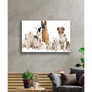 Köpekler Cam Tablo 50x70 cm