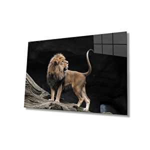 Aslan Cam Tablo 50x70 cm