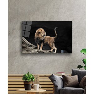 Aslan Cam Tablo 50x70 cm