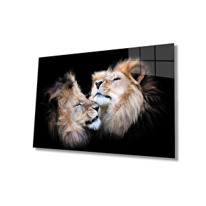 Aslan Cam Tablo 50x70 cm