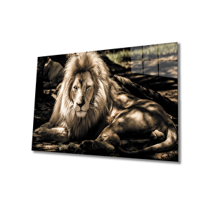 Aslan Cam Tablo 50x70 cm