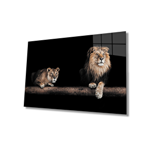 Aslan Cam Tablo 50x70 cm