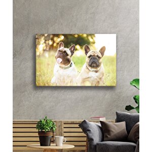 Köpekler Cam Tablo 50x70 cm
