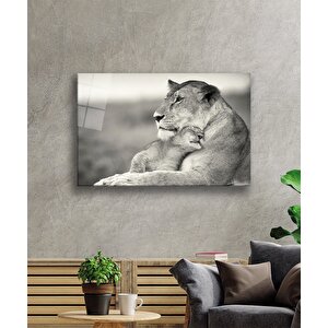 Aslan Cam Tablo 36x23 cm