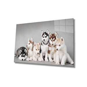 Köpekler Cam Tablo 36x23 cm