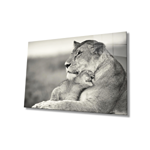 Aslan Cam Tablo 50x70 cm