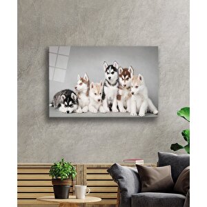 Köpekler Cam Tablo 50x70 cm